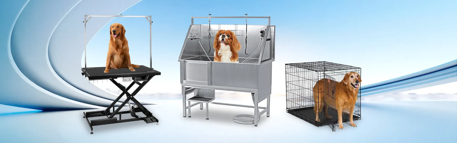 ডাউনলোড করুন