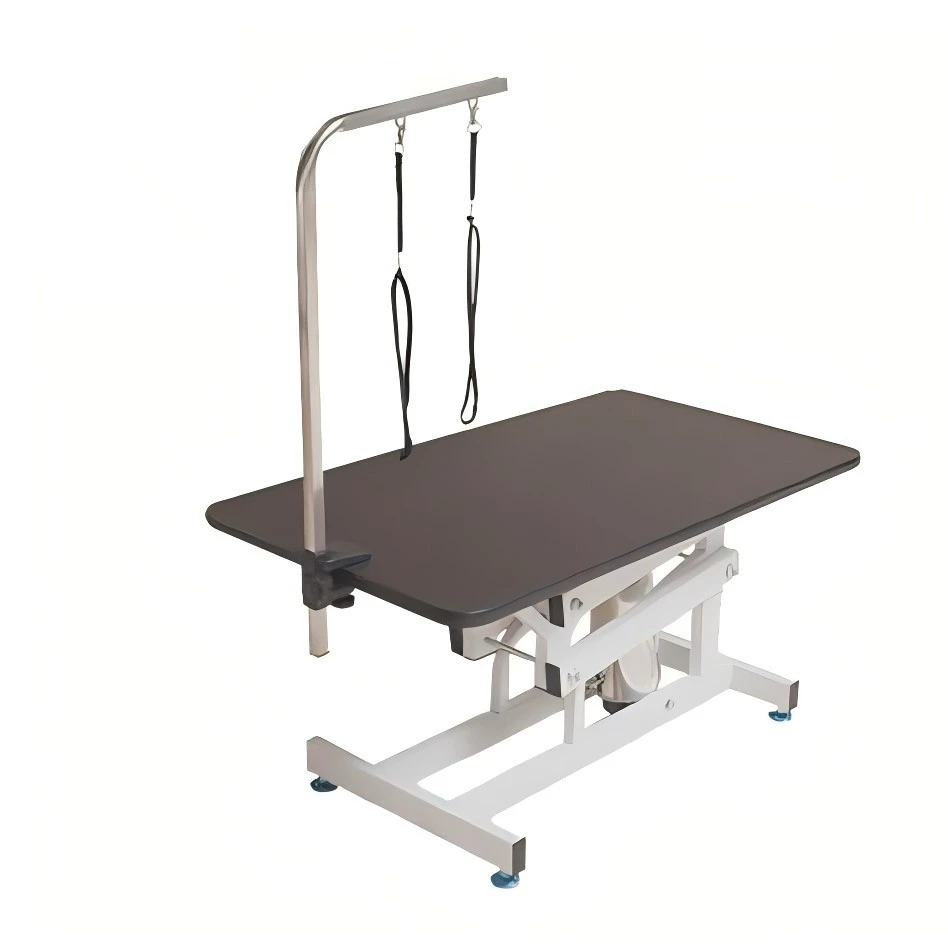 কুকুরের জন্য হাইড্রোলিক লিফটিং ভেট ফোল্ডেড পোষা গ্রুমিং বিউটি টেবিল